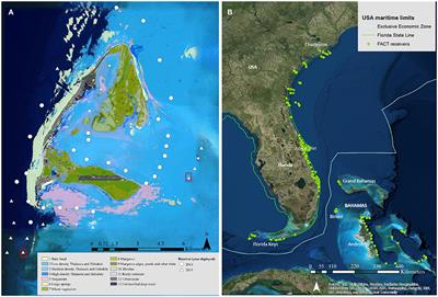 Philopatry and Regional Connectivity of the Great Hammerhead Shark, Sphyrna mokarran in the U.S. and Bahamas